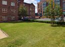 Garden area of St Silas Flat 7
